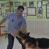 Hobi olarak başladı, köpek çiftliği kurdu Hobi olarak başladı, köpek çiftliği kurdu