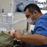 Erimiş üst çene kemiğine zigoma implantı yapılıyor