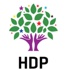 Iğdır'da HDP Merkez İlçe Eş Başkanı Güngör tutuklandı Iğdır'da HDP Merkez İlçe Eş Başkanı Güngör tutuklandı