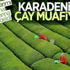 Doğu Karadeniz’de çay üreticilerine kısıtlama muafiyeti Doğu Karadeniz’de çay üreticilerine kısıtlama muafiyeti