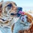 Köpeklerin kedilerden daha zeki olduğu ortaya çıktı (Yaşam haberleri)