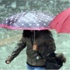 Meteoroloji'den kuvvetli yağış uyarısı