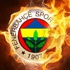 Fenerbahçe'de Mehmet Topal şoku! Fenerbahçe'de Mehmet Topal şoku!