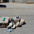 Silvan'da sokak ortasına bomba yerleştirdiler Silvan'da sokak ortasına bomba yerleştirdiler