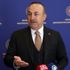 Çavuşoğlu: Avrupa dan 3 bin 614 Türk vatandaşı geliyor