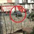 İstanbul'da faciaya ramak kala İstanbul'da faciaya ramak kala