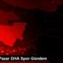 3 Kasım Pazar DHA Spor Gündem