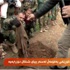 Ele geçirilen şehirde toplu mezar bulundu Ele geçirilen şehirde toplu mezar bulundu