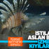 İstilacı aslan balığı Ege'de de yayılıyor İstilacı aslan balığı Ege'de de yayılıyor
