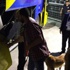 Fenerbahçe'ye bomba şoku