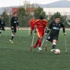 Engelliler Federasyonu spor faaliyetlerini durdurdu Engelliler Federasyonu spor faaliyetlerini durdurdu