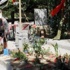 Darbeci generali vuran şehit Ömer Halisdemir'in hikayesi