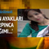 Cani anneye müebbet!