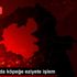 Erzurum da köpeğe eziyete işlem