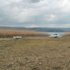 Sapanca'dan bu kez iyi haber
