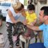 İşkence gören sokak köpeği doğal ortamına bırakıldı İşkence gören sokak köpeği doğal ortamına bırakıldı
