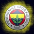 F.Bahçe'den Ancelotti ve Rapaiç açıklaması