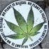 Marihuana eyaletleri birbirine düşürdü Marihuana eyaletleri birbirine düşürdü