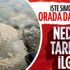 SON DAKİKA: Marmara Denizi'nden sonra Karadeniz'de de müsilaj (deniz salyası) görüldü! Uzmanlar uyardı: Böyle giderse kaplanır SON DAKİKA: Marmara Denizi'nden sonra Karadeniz'de de müsilaj (deniz salyası) görüldü! Uzmanlar uyardı: Böyle giderse kaplanır