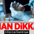 6 İlde Domuz Gribi Timi Kuruldu