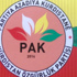 Kürdistan partisi için flaş karar!