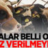Cezalar belli oldu! Taviz verilmeyecek... Cezalar belli oldu! Taviz verilmeyecek...