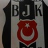 Beşiktaş yönetimine yeni aday