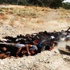 IŞİD'den yine kan donduran görüntüler IŞİD'den yine kan donduran görüntüler