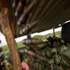 Burundi'de çatışma: 100 ölü Burundi'de çatışma: 100 ölü
