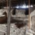 Arslantepe Höyüğü’nde yeni buluntular Arslantepe Höyüğü’nde yeni buluntular