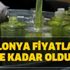 Kolonya virüs öldürür mü? Kolonya fiyatları ne kadar? 60 – 80 derece kolonya ne demek?