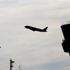 Minibüs şoförünün kural ihlalini pilot kuleye bildirdi