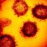 Avrasya ülkelerinde koronavirüs salgını yayılmaya devam ediyor