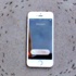 Karıncaların iPhone etrafındaki esrarengiz hareketi