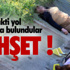Kimsesiz Aileye Kaymakam Sahip Çıktı