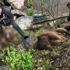 Yavru ayıyı öldüren Tanju Çolak serbest bırakıldı