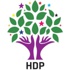 HDP'den Kandil dönüşü açıklama HDP'den Kandil dönüşü açıklama