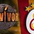 Survivor'dan Galatasaray'a transfer! Survivor'da Acun Ilıcalı'dan beklediğini bulamadı kürkçü dükkanına döndü