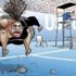 Serena Williams karikatürünün çizerine ırkçılık suçlaması Serena Williams karikatürünün çizerine ırkçılık suçlaması