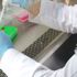 Türkiye’de de test edilen CoronaVac isimli aşının ilk sonuçları açıklandı Türkiye’de de test edilen CoronaVac isimli aşının ilk sonuçları açıklandı