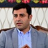 Demirtaş'ı 'retweet' etmek de suç oldu !