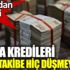 ﻿Banka kredileri bu yıl takibe hiç düşmeyebilir. BDDK’dan önemli karar