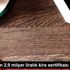 Hazineden 2,9 milyar liralık kira sertifikası ihracı