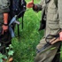 PKK'ya ilaç taşıyan 4 terörist tutuklandı