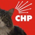 CHP'den Şero imzalı Hayvan Hakları Genelgesi