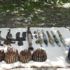 Hakkari'de terör örgütü PKK'ya darbe!