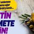 Zeytin bereketi! Rüyada zeytin görmek ne anlama gelir? | Rüya tabirleri