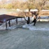 Manavgat yükseldi, işyerlerini su bastı