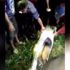 Almanya'dan teröristlere kıyak! Almanya'dan teröristlere kıyak!