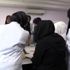 Sayacılık kadınların geçim kaynağı oldu